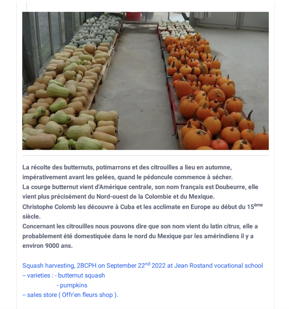 Blog NEO d'Edifice : une ridée pour la rentrée au collège et au lycée.