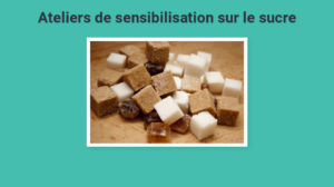 Cahier multimédia 2D sucres
