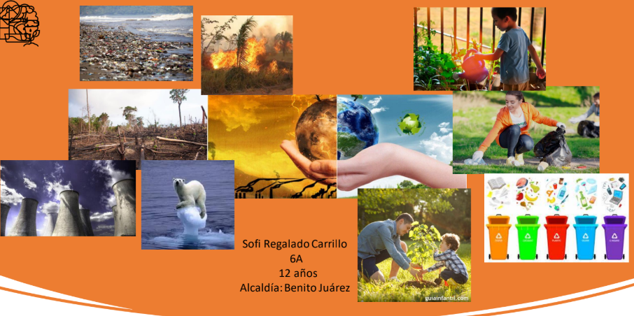 Crea un museo virtual del medio ambiente